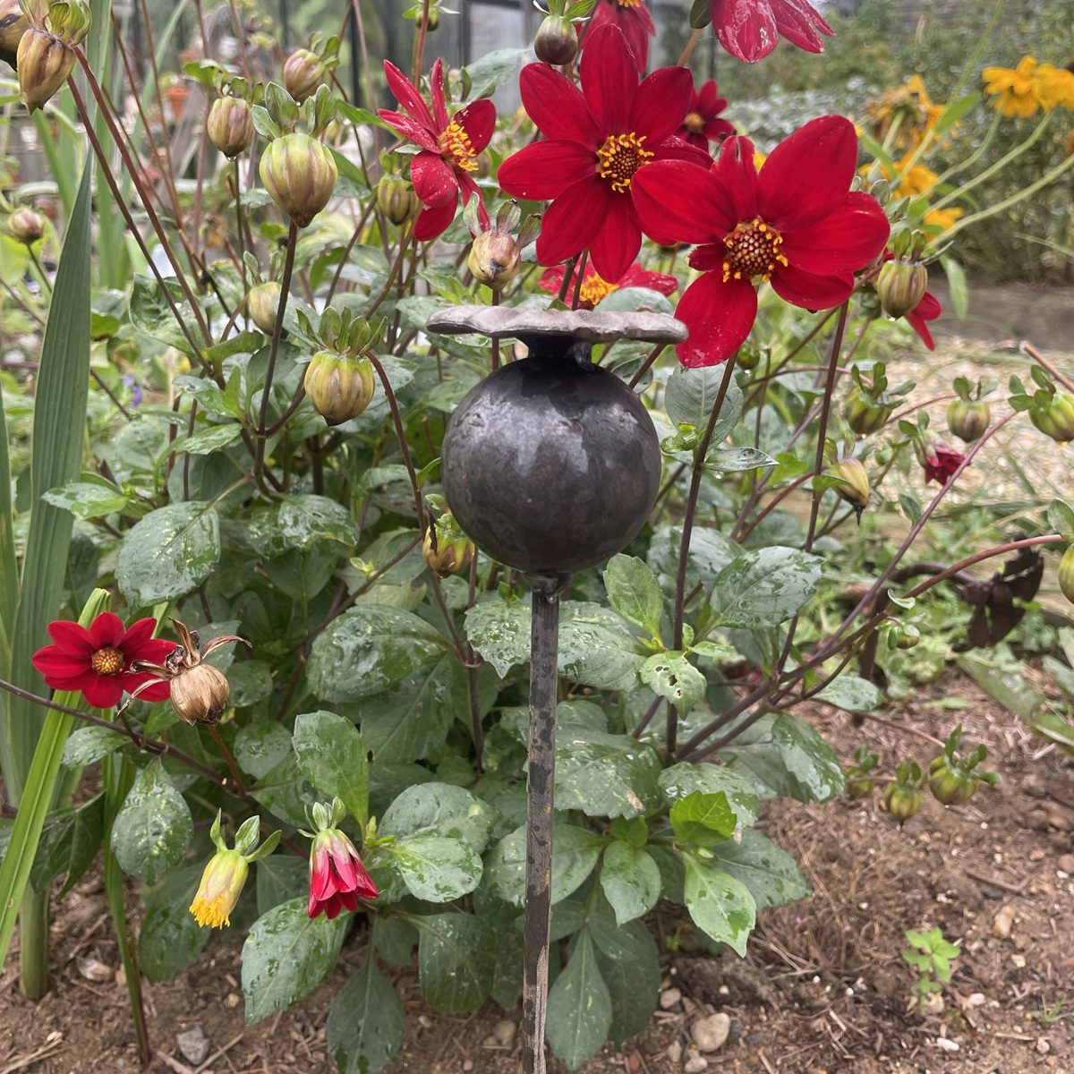 Floral Garden Stake Ornament – Poppy 5065022557319